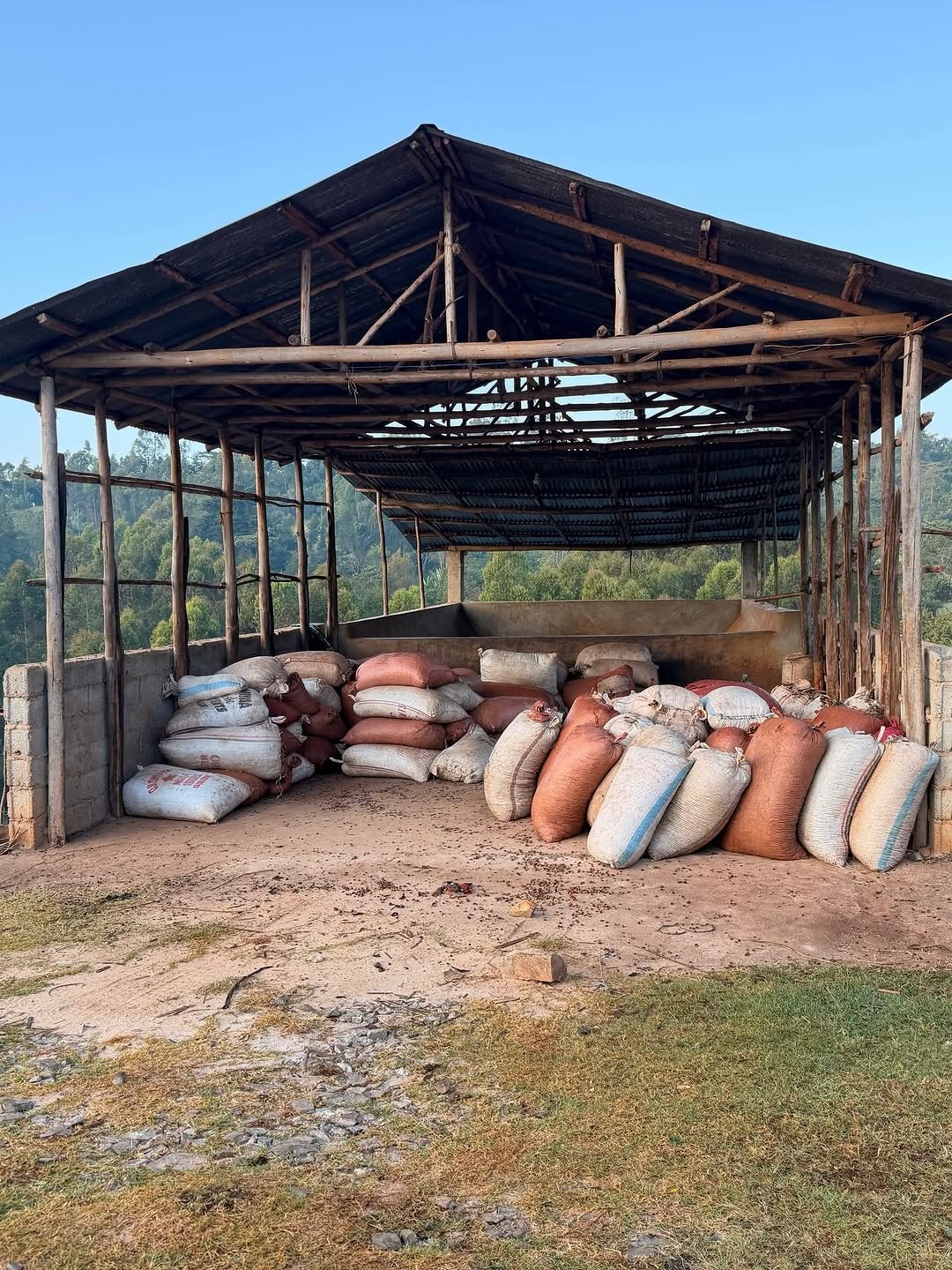 Green coffee export sacks in the warehouse